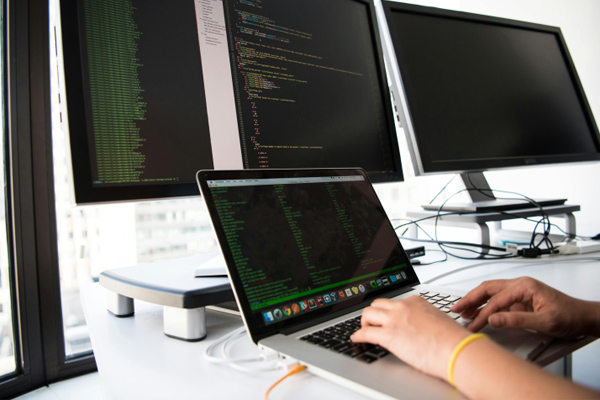 雙孢菇高效栽培全流程解析:栽培
