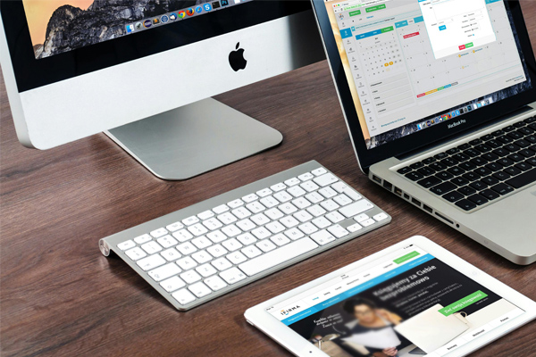 1351：蘭花栽培管理我看到了新的希望:栽培
