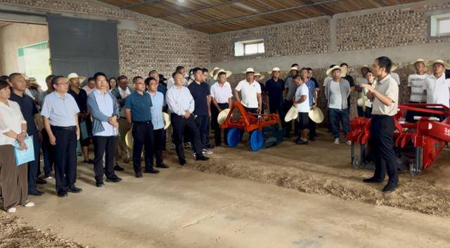 甘薯高效栽培技術(shù)培訓(xùn)暨機(jī)械演示現(xiàn)場(chǎng)觀摩會(huì)在商丘召開:栽培
