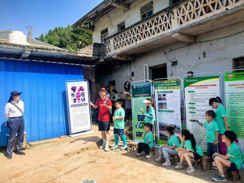 四川省農(nóng)業(yè)科學院薯類作物栽培試驗示范基地開展科普活動:栽培
