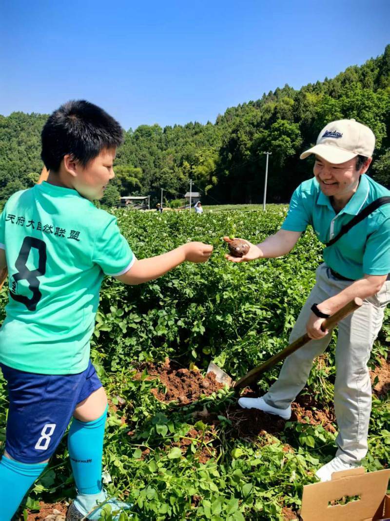 四川省農(nóng)業(yè)科學(xué)院薯類作物栽培試驗示范基地開展科普活動:栽培
