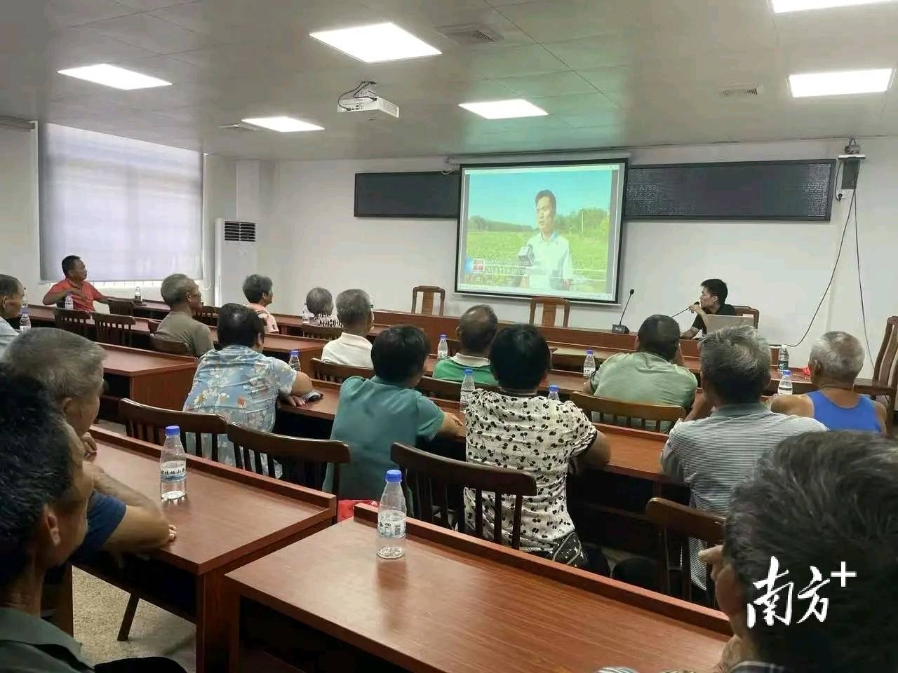 陽(yáng)東區(qū)新洲鎮(zhèn)舉辦西瓜種植技術(shù)交流會(huì)，推廣優(yōu)質(zhì)栽培技術(shù):栽培
