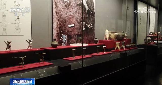 科技考古印證二里頭遺址銅礦來自晉南 青銅時(shí)代先民或已栽培本土葡萄屬植物:栽培
