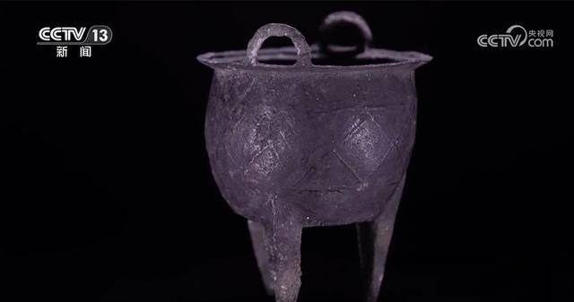 科技考古印證二里頭遺址銅礦來自晉南 青銅時(shí)代先民或已栽培本土葡萄屬植物:栽培
