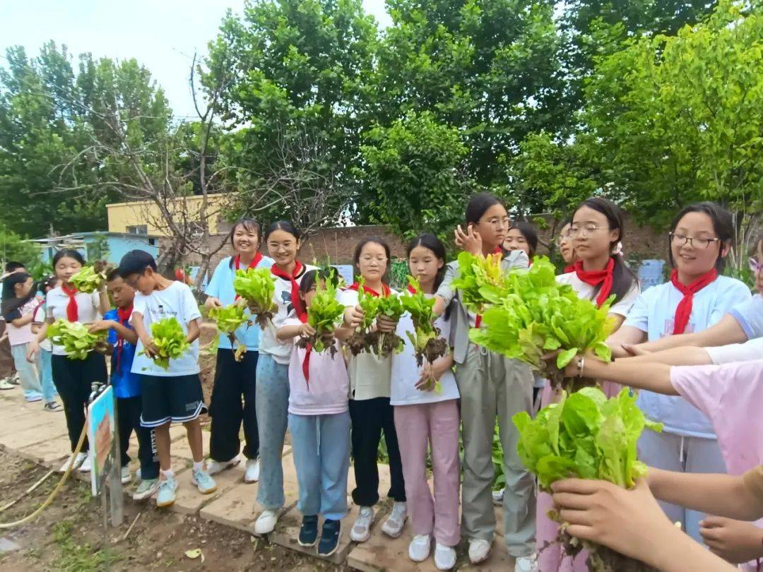 西安市浐灞十九小科學勞動種植活動:種植
