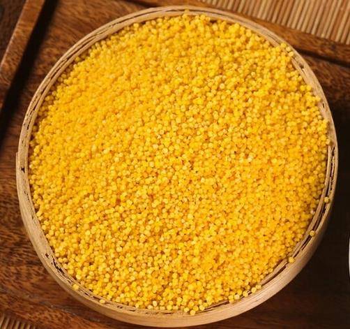 京東超市聯(lián)合沁州黃打造小米種植基地 共享種植技術(shù) 建設(shè)溯源體系:種植
